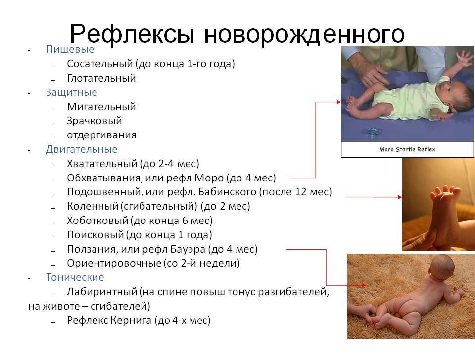 15 способностей младенцев, которых нет у взрослых людей