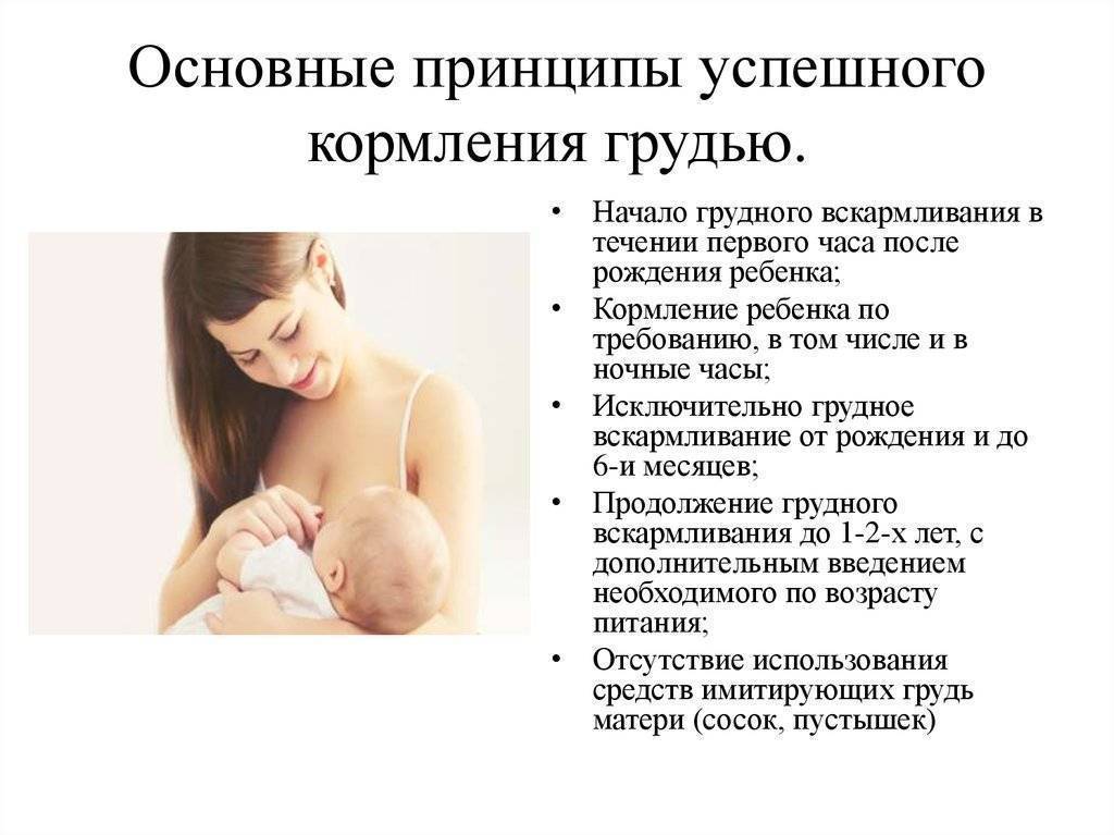 Грудное кормление новорожденных после родов:  советы