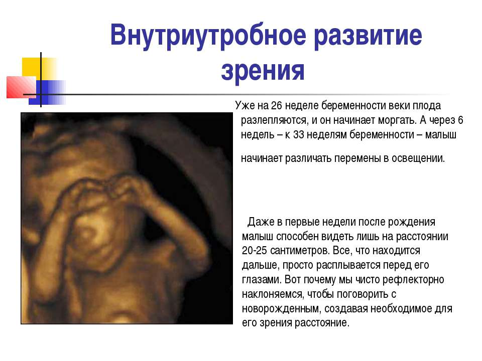 Узи плода
