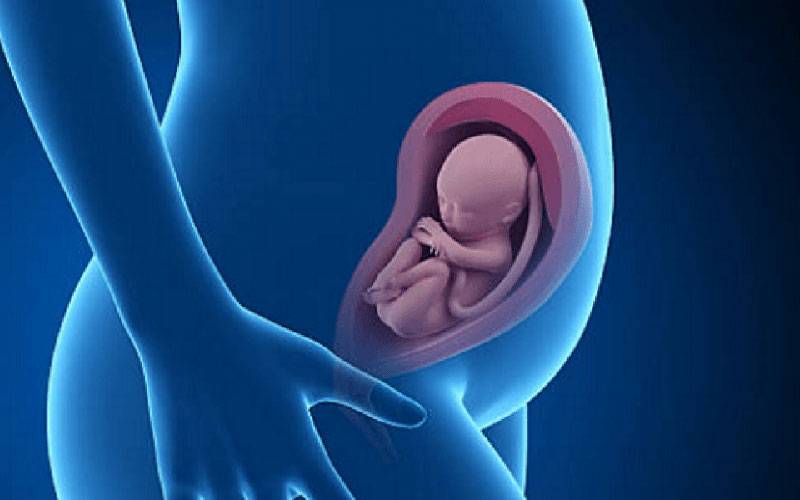 25 неделя беременности: что происходит с малышом и мамой?