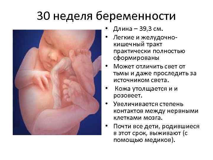 Беременность: 8 неделя | компетентно о здоровье на ilive