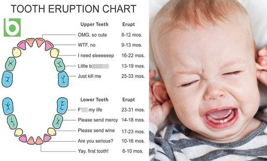 Удаление молочного зуба у детей - как удаляют и не опасно ли это