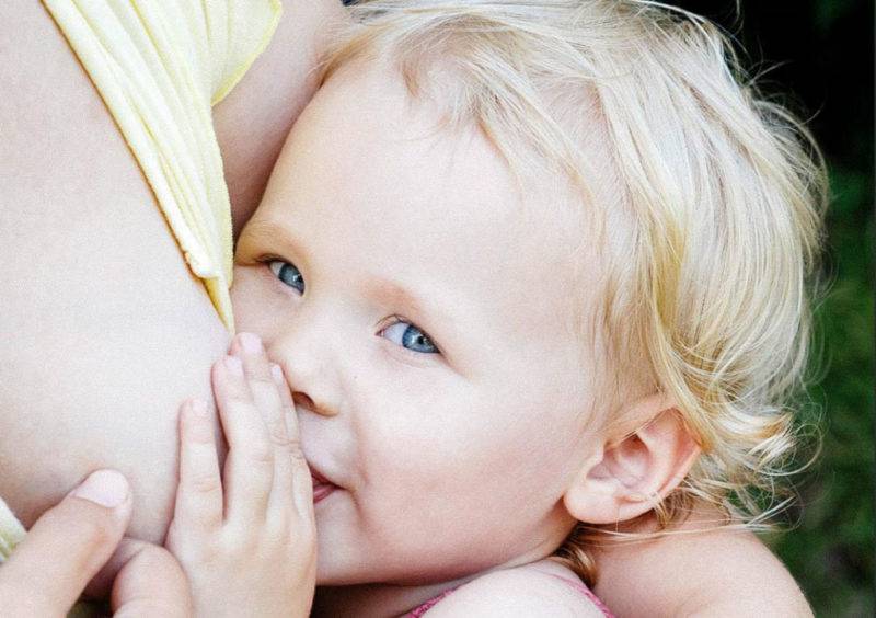 Кормление грудью и детский сад – возможно ли совместить?