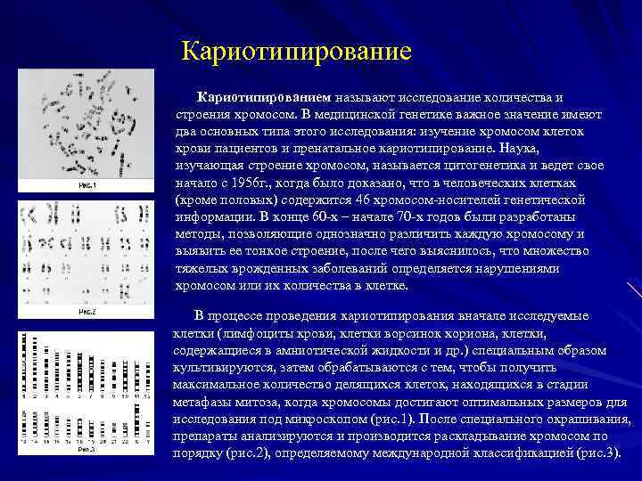 Исследования хромосом