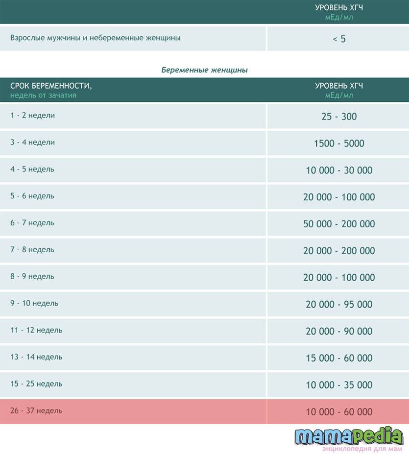 Хгч - что это такое? уровень хгч по неделям и дням при беременности: расшифровка и таблица - medside.ru