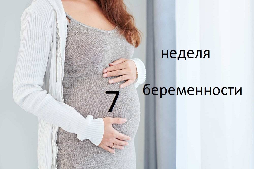 Для чего делают узи на 5 неделе беременности?
