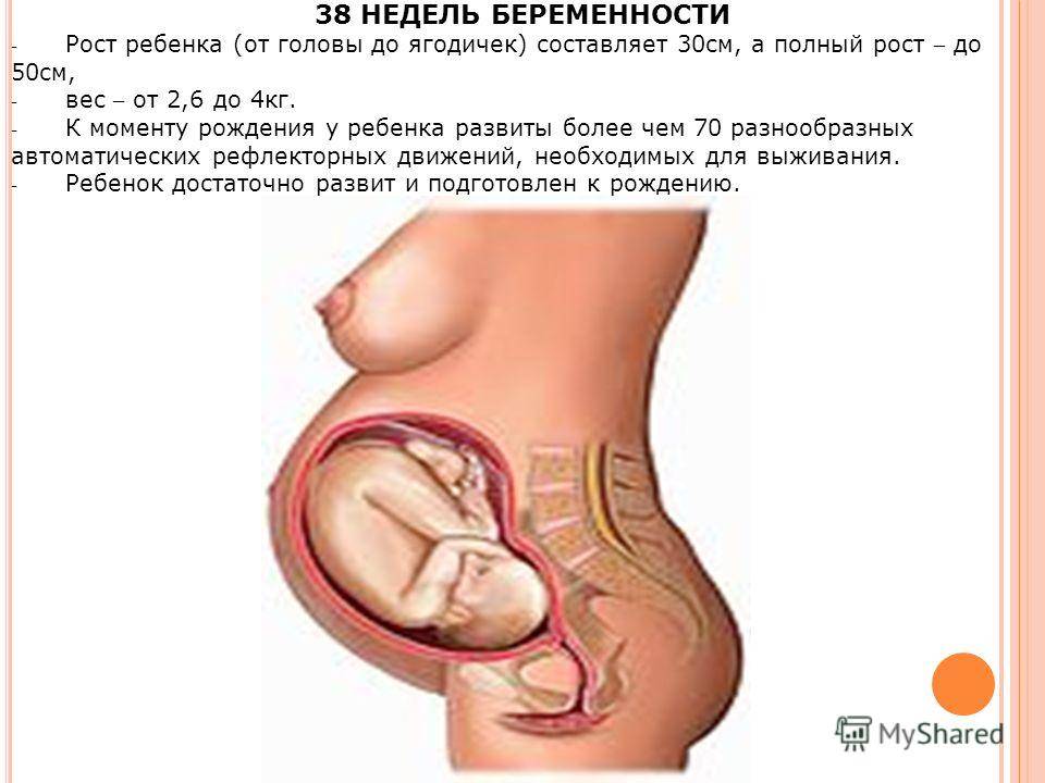 Начала 38 недели беременности. Рост ребенка на 39 неделе беременности. 38-39 Недель беременности.