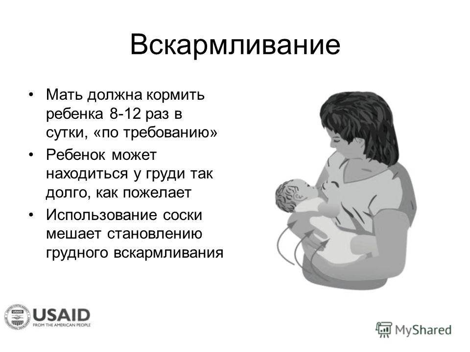 Как часто кормить новорожденного грудным молоком (таблица)