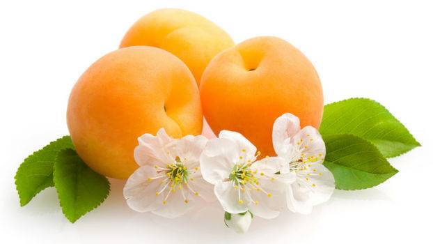 Можно ли лакомиться абрикосами маме при грудном вскармливании. курага при грудном вскармливании: свойства и варианты приготовления