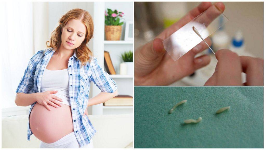 Дисбактериоз у беременных: причины и симптомы, терапия, опасность для плода. бифилакт биота | биота
