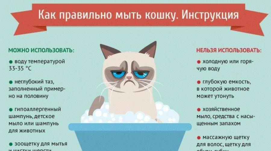 Домашние животные для детей. советы по выбору
