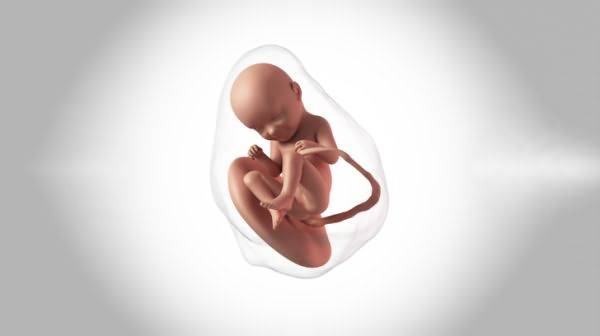 38 неделя беременности: предвестники, симптомы и начало родов