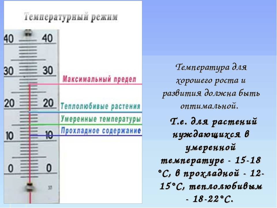 Температура детской смеси: какой температуры должна быть детская смесь?