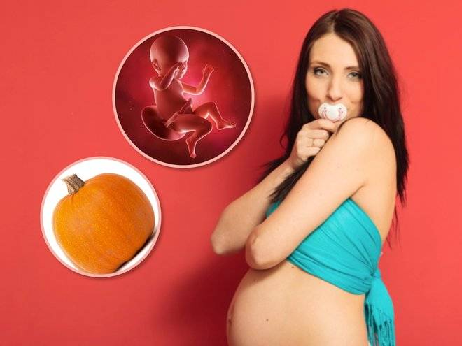 37 неделя беременности - предвестники родов. что происходит с плодом и что чувствует женщина?