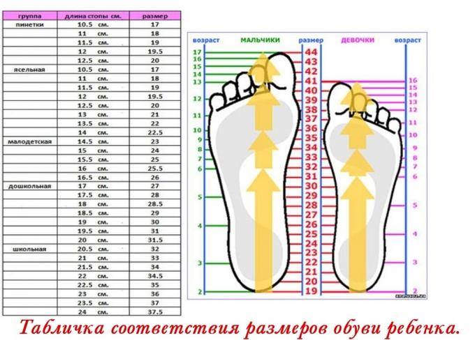 Размер обуви и ноги ребенка: 7 таблиц по возрасту, длине стопы и стельки, калькулятор