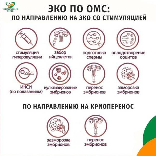 Эко по омс в москве – бесплатная программа в клинике gms эко