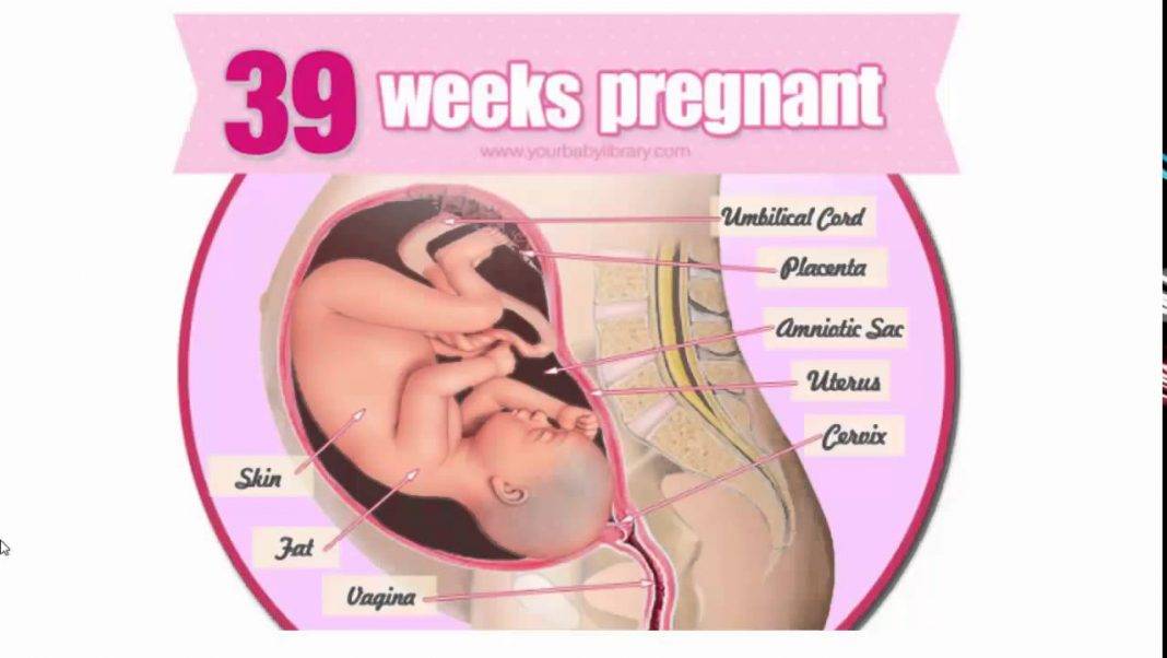 39 неделя беременности – что происходит с ребенком, тошнота на тридцать девятой неделе беременности - agulife.ru
