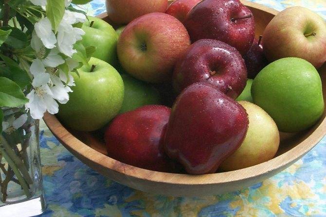 Аллергия на яблоки | компетентно о здоровье на ilive