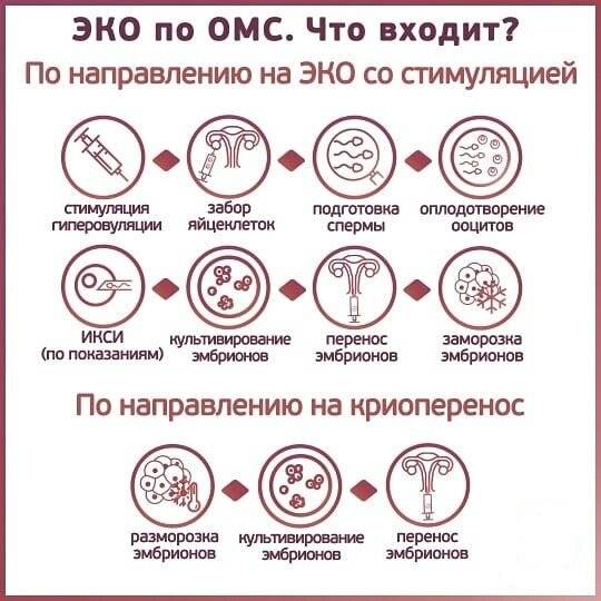 Бесплатная квота на эко | клиника "центр эко" в москве