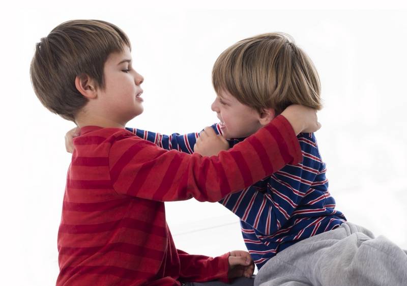 Ребенок дерется: что делать, как отучить ребенка драться в 1,5, 2, 3, 4 года