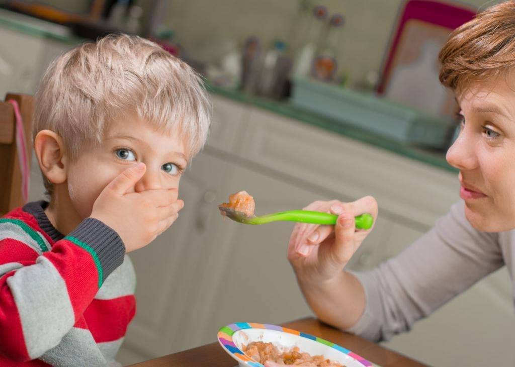 Почему ребенок не ест в детском садике? борьба с плохим аппетитом малыша