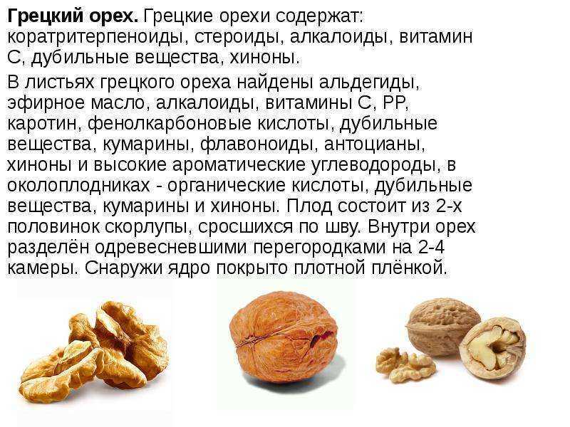 Польза грецких орехов для женщин