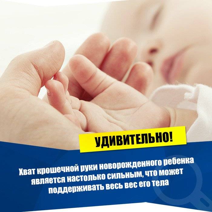 10 любопытных фактов о новорожденных детях • всезнаешь.ру