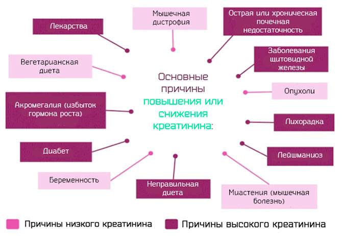 Плохой креатинин. Снижение креатинина причины. Причины повышения креатинина. Повышение креатинина в крови причины. Повышение уровня креатинина причины.