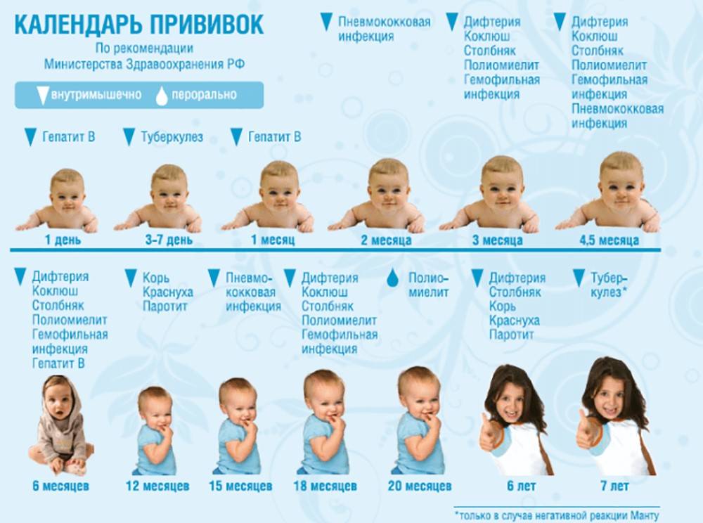 Календарь прививок детям до 1 года (в России). Что нужно знать мамам