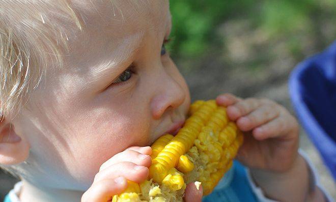 С какого возраста можно давать кукурузу ребенку: можно ли дать до году грудничку