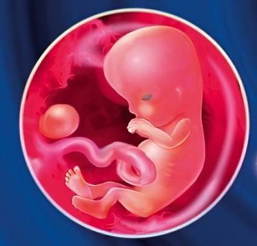 Выделения на 9 неделе беременности | компетентно о здоровье на ilive
