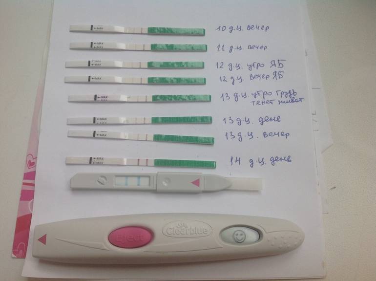 Первые признаки беременности на ранних сроках - как определить ра