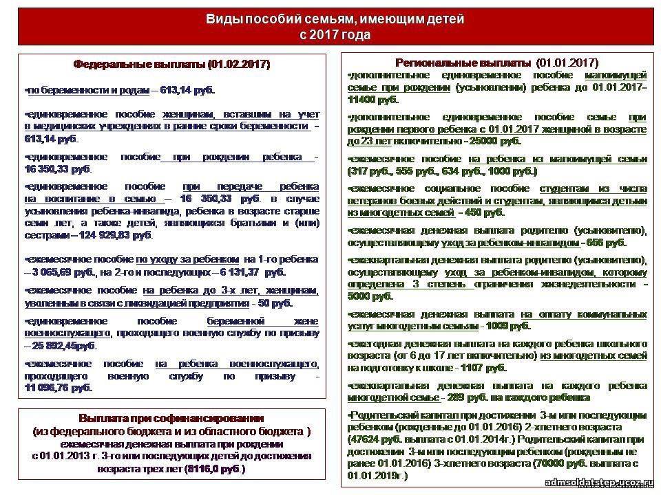 Социальная помощь многодетным семьям в рф: меры поддержки, виды выплат и гарантий