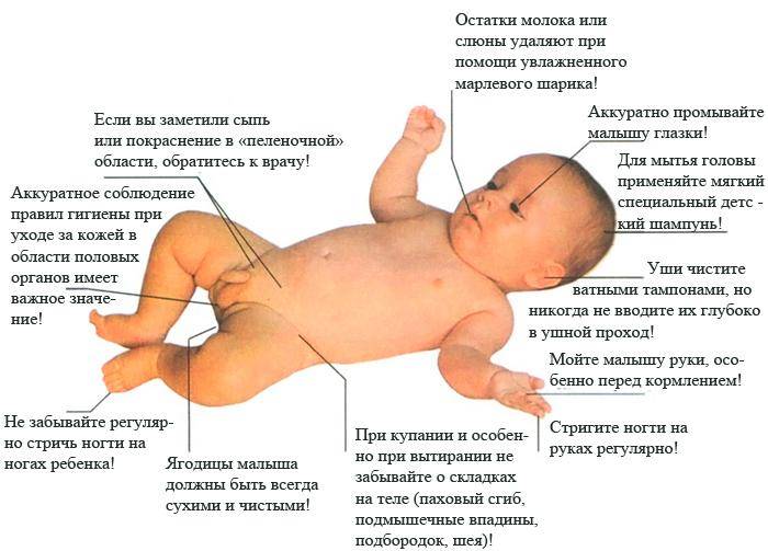 Как умывать новорожденного