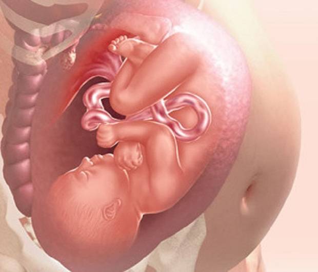 38 неделя беременности: малыш вот-вот появится на свет