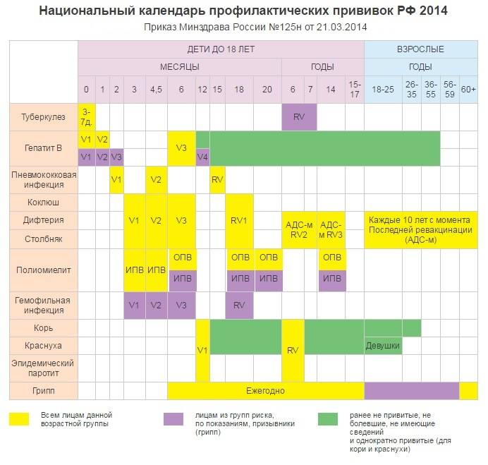 Вакцинация в россии: календарь профилактических прививок
