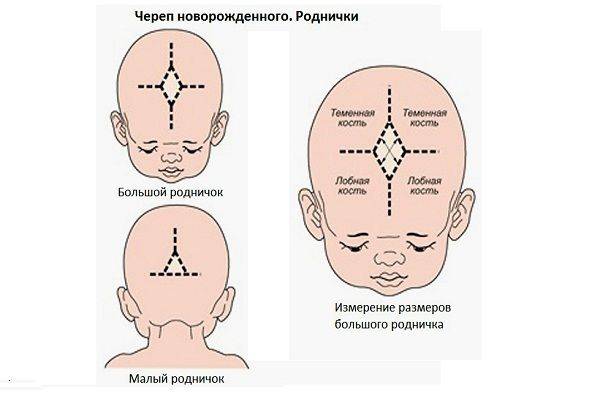 Зачем грудничку родничок?