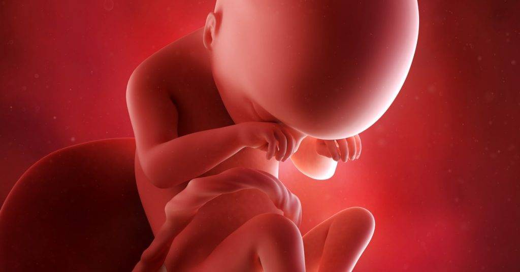 31 неделя беременности: признаки и ощущения женщины, симптомы, развитие плода