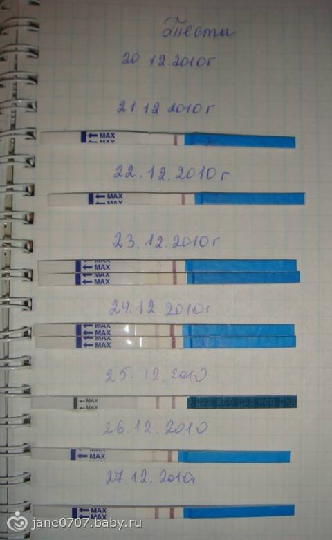 Положительные тесты на беременность на ранних сроках фото по дням