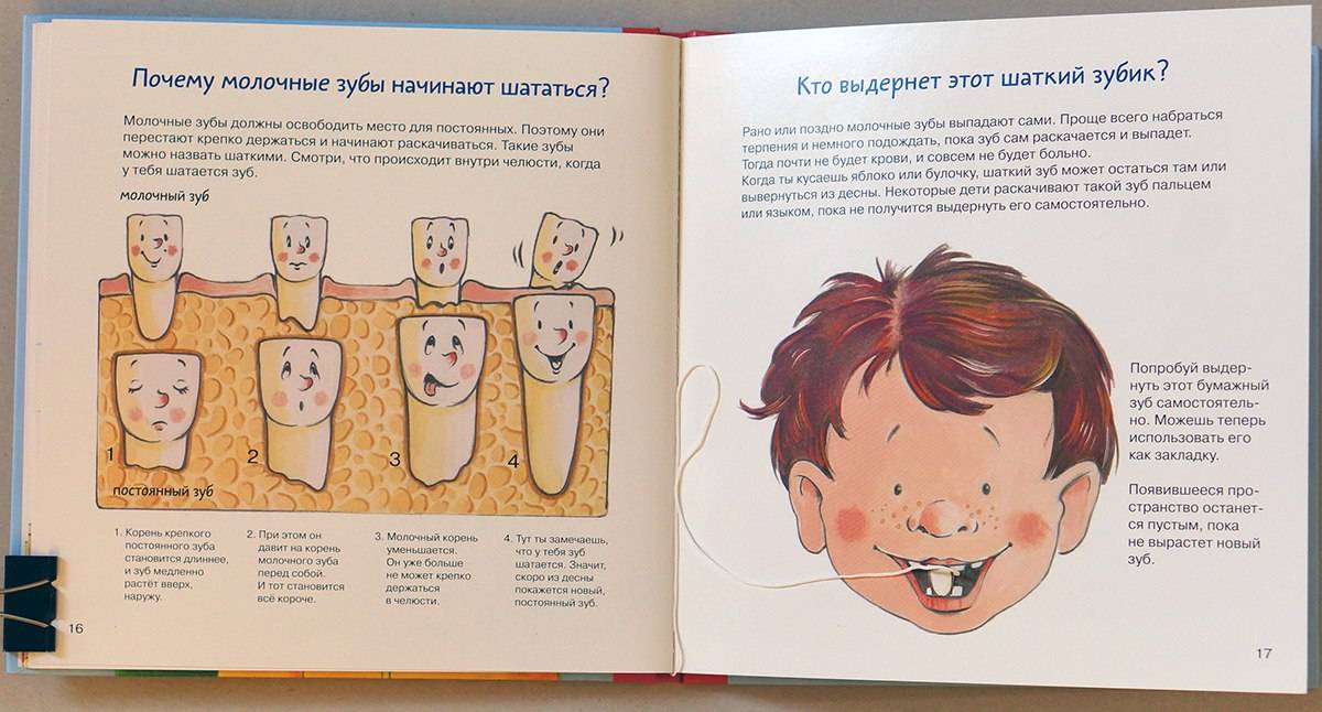 Когда выпадают молочные зубы у детей - первые признаки выпадения