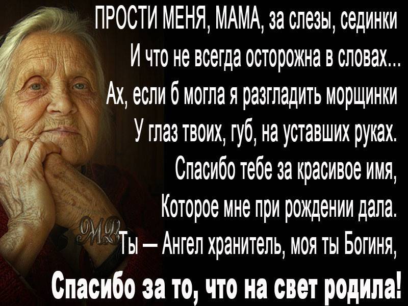 200 красивых фраз про родителей: мудрые цитаты, высказывания со смыслом, трогательные афоризмы, статусы о родителях и их отношениях с детьми