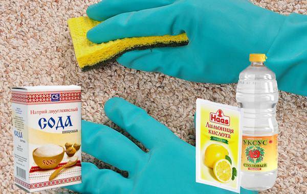 Как убрать с дивана запах мочи в домашних условиях: 20 лучших средств и методов