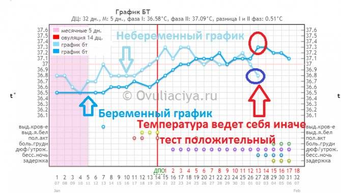 Предменструальный синдром (пмс)