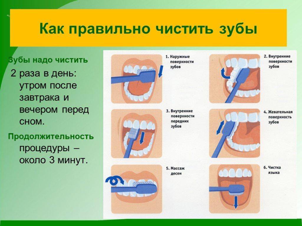 Врач-педиатр о том, как правильно чистить зубки ребёнку