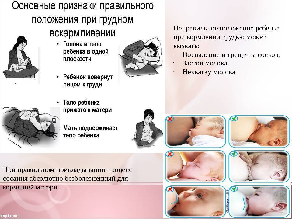 Как организовать грудное вскармливание сразу после родов