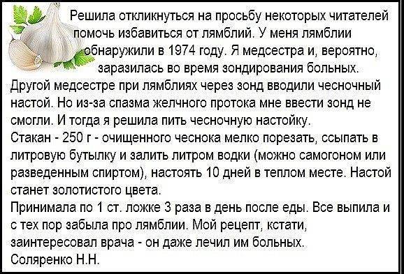 Выводить принимать. Рецепт от лямблий. Настой чеснок с водкой от лямблий. Народные средства от лямблий.