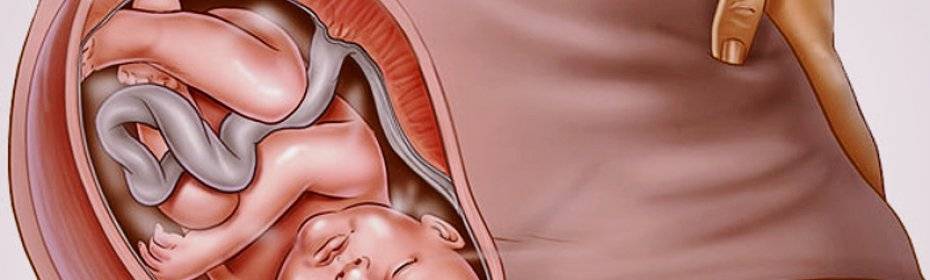 42 неделя беременности: пролонгированная беременность