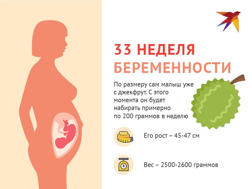 33 неделя беременности: что происходит ощущения развитие плода