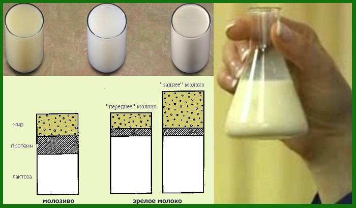 Цвет грудного молока: каким он должен быть, почему бывает жёлтого и других оттенков, симптомы и признаки проблем и другие особенности