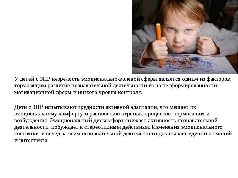 Особенности психомоторного и речевого развития ребенка